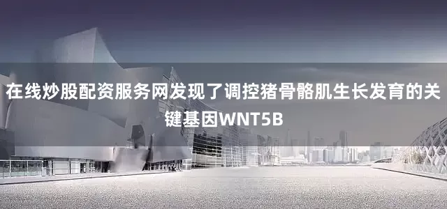 在线炒股配资服务网发现了调控猪骨骼肌生长发育的关键基因WNT5B